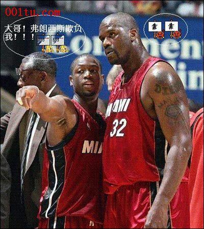 为大家带来